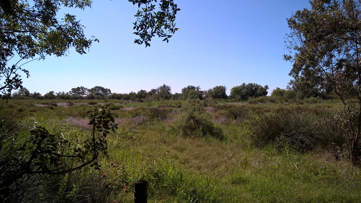 Site naturel protégé du Méjean - Maison de la Nature