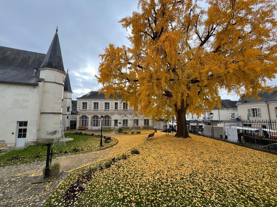 Visite guidée de la ville de Montrichard