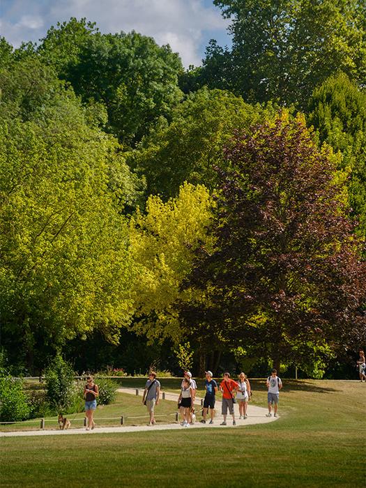 Château d'Azay-le-Rideau