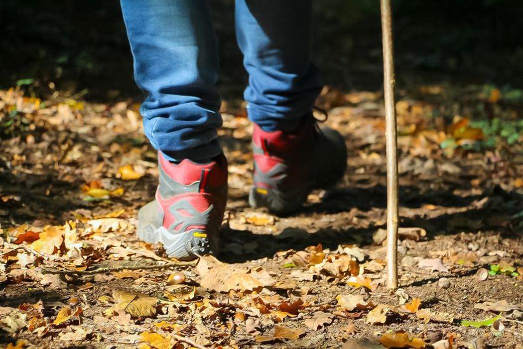 Arts et Coteaux à Parpeçay