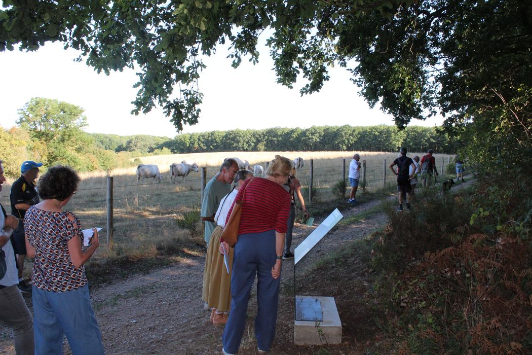Parcours Découverte Histoires cachées et mystères de Soulaires
